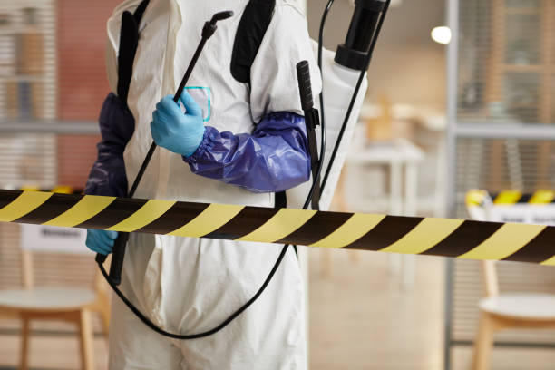 Professional Biohazard technician working in Honeyville, UT